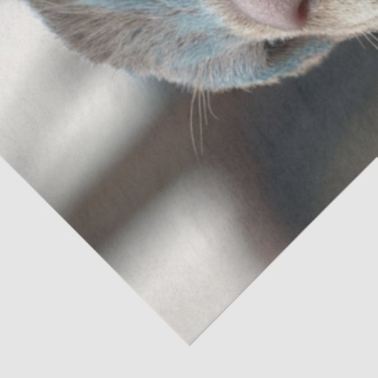 Decoupage Otter Warrior Blue Suit Tissuepapier (Detail)