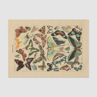 Decoupage Paper 10"x15" - Vintage Butterfly Art 1 Tissuepapier
