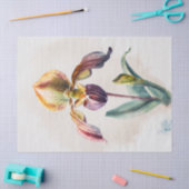Decoupage papier, inpakken, - Blooming Splendor 1 Tissuepapier (Craft)