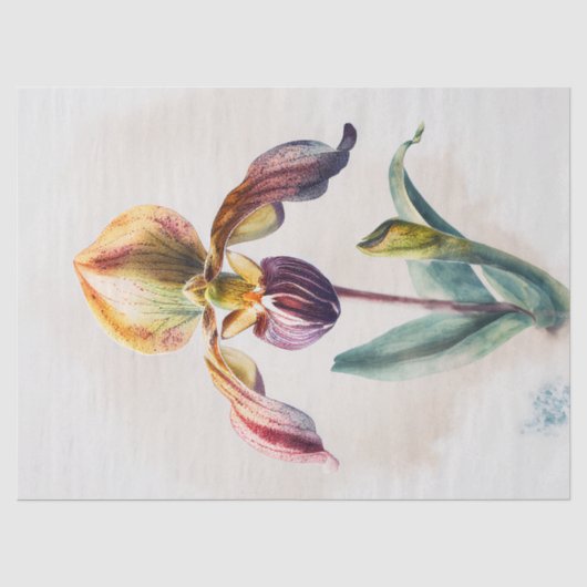 Decoupage papier, inpakken, - Blooming Splendor 1 Tissuepapier (Voorkant)