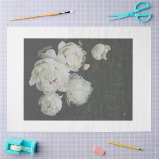 Decoupage-papier van witte pioenen tissuepapier (Craft)