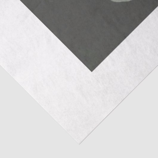 Decoupage-papier van witte pioenen tissuepapier (Detail)