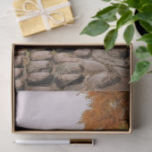 Decoupage papier, verpakken, - Ephemeral Elegance  Tissuepapier (Geschenk)