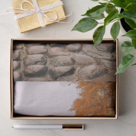 Decoupage papier, verpakken, - Ephemeral Elegance  Tissuepapier (Geschenk)