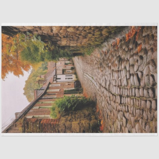 Decoupage papier, verpakken, - Ephemeral Elegance  Tissuepapier (Voorkant)