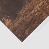 Decoupage Papier, Verpakking - Fluistert van het W Tissuepapier (Detail)