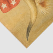 Decoupage Patriotic Highland Ballerina Tutu Tissuepapier (Detail)