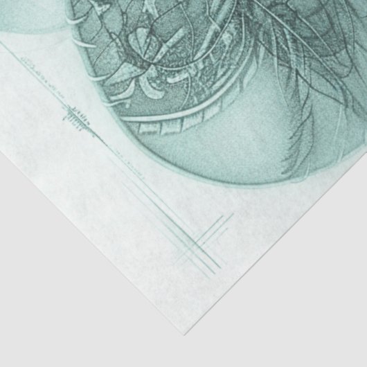 Decoupage Portrait Design Monochromatische Cowgirl Tissuepapier (Detail)