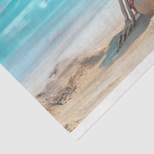 Decoupage Poster Skelton Beach Familiebruggen Tissuepapier (Detail)