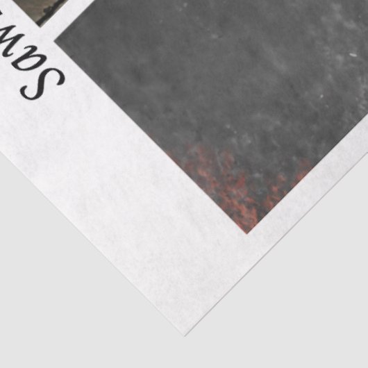 Decoupage Proud Firefighters American Flag  Tissuepapier (Detail)