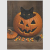 Decoupage Pumpkin Black Cat Spider voor Halloween Tissuepapier (Voorkant)