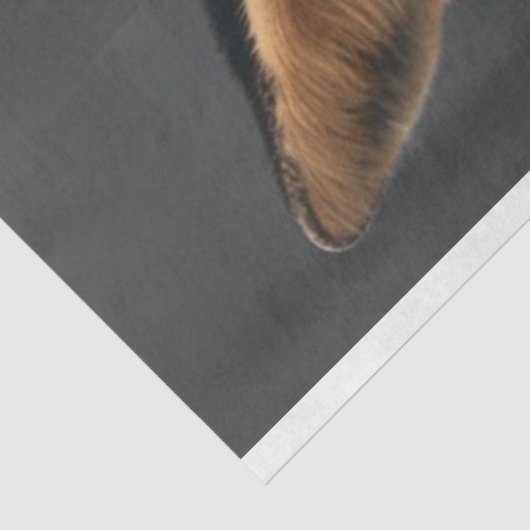 Decoupage Red Fox Business Suit Pet Tissuepapier (Detail)