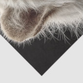 Decoupage Regal White Tiger Portrait Fantasy Nobel Tissuepapier (Detail)