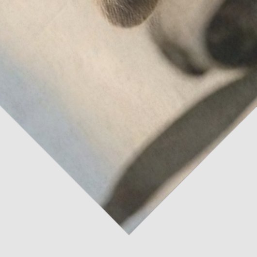 Decoupage Retro Aviation Racoon Leather Jacket  Tissuepapier (Detail)