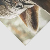 Decoupage Robin Hood Raccoon Woodland Hero Tissuepapier (Detail)