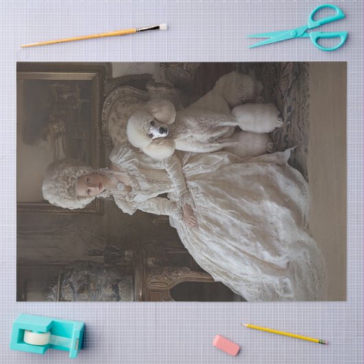 Decoupage Rococo Style Lady & Standaard Poedel Tissuepapier (Craft)