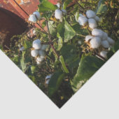 Decoupage  Rode Vrachtwagen Cotton Field Church Tissuepapier (Detail)