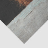 Decoupage Rustic Highland Calf Peek a Boo Art  Tissuepapier (Detail)