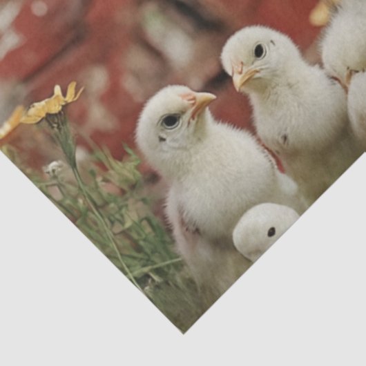 Decoupage Rustiek Boerderij Scene Haan Kuikenschuu Tissuepapier (Detail)