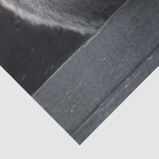 Decoupage Santa Claus From Crypt Sneak Peek Art Tissuepapier (Detail)