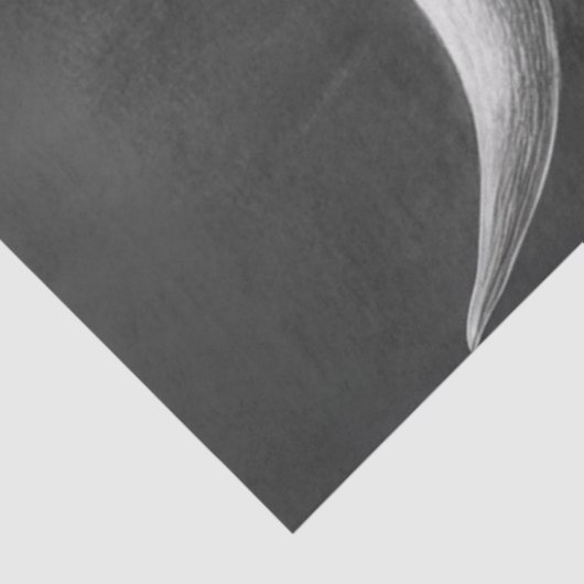 Decoupage Shaggy Highland Koe zwarte achtergrond Tissuepapier (Detail)