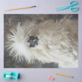 Decoupage Silkie Showgirl Chicken White Feathers Tissuepapier (Craft)