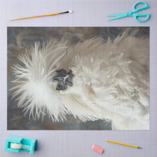 Decoupage Silkie Showgirl Chicken White Feathers Tissuepapier (Craft)