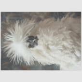 Decoupage Silkie Showgirl Chicken White Feathers Tissuepapier (Voorkant)