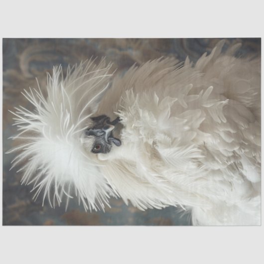 Decoupage Silkie Showgirl Chicken White Feathers Tissuepapier (Voorkant)