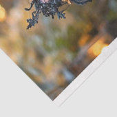 Decoupage Skeleton Family portretteert de Scaselto Tissuepapier (Detail)