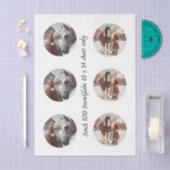 Decoupage Sneeuwbol Sint & Paard Tissuepapier (Craft)