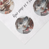 Decoupage Sneeuwbol Sint & Paard Tissuepapier (Detail)