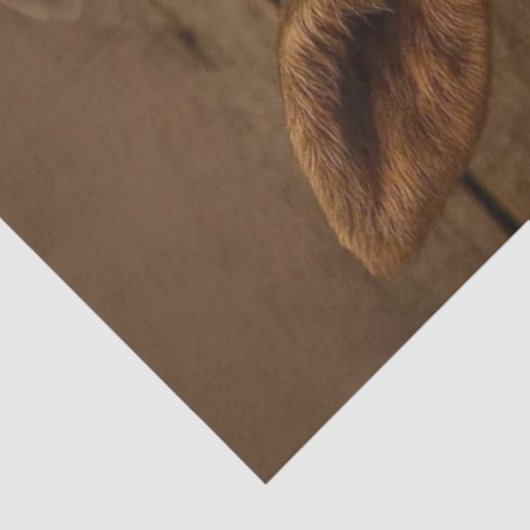 Decoupage speelse eland kalf bubbel bad tissuepapier (Detail)