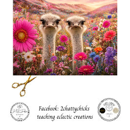 Decoupage Speelse Emu Tweeling Australische Bloeme Tissuepapier