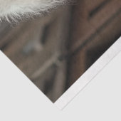 Decoupage Steampunk Standaard Poedel Biker Tissuepapier (Detail)