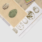 Decoupage tissuepapier in collagestijl (Detail)