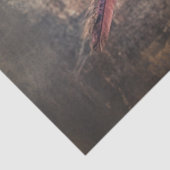 Decoupage Tricorn Rustic Pirate Pet Feather Tissuepapier (Detail)