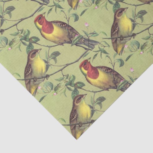 Decoupage Twee kleurrijke vogels op lichtgroen Tissuepapier (Detail)