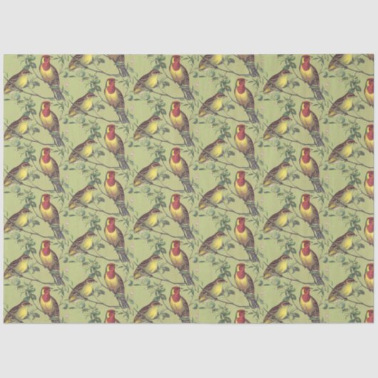 Decoupage Twee kleurrijke vogels op lichtgroen Tissuepapier (Voorkant)