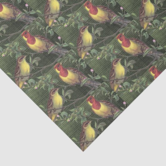 Decoupage twee kleurrijke vogels tissuepapier (Detail)