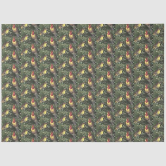 Decoupage twee kleurrijke vogels tissuepapier (Voorkant)