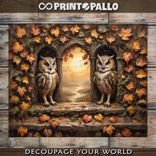 Decoupage - Twee Uilen met uitzicht op de herfst Poster