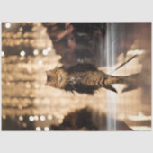 Decoupage Uitgebreide Cat Walking Down Runway Tissuepapier (Voorkant)