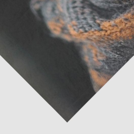 Decoupage Unieke rustieke stijlvolle geklede schap Tissuepapier (Detail)