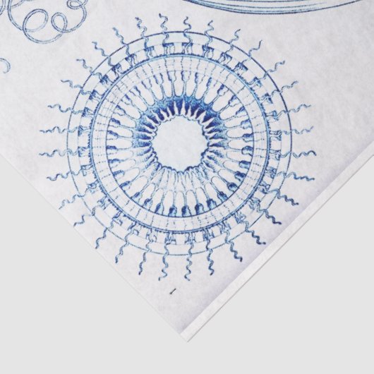 Decoupage van blauwe kwallen tissuepapier (Detail)