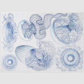 Decoupage van blauwe kwallen tissuepapier (Voorkant)