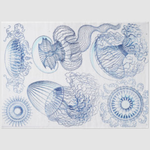 Decoupage van blauwe kwallen tissuepapier