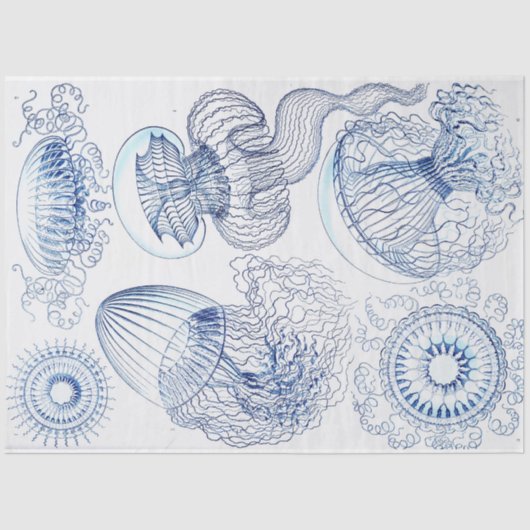 Decoupage van blauwe kwallen tissuepapier (Voorkant)