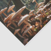 Decoupage van de paddenstoelenfee tissuepapier (Detail)