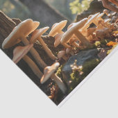 Decoupage van de paddenstoelenfee tissuepapier (Detail)